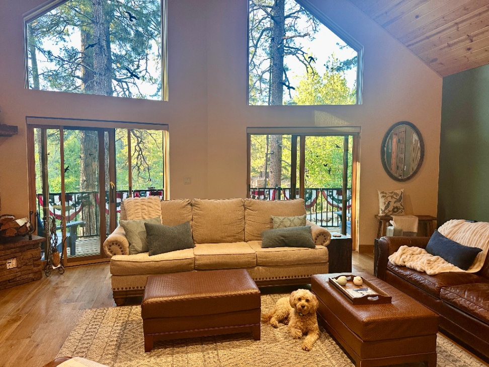Pet-friendly Bluejay Getaway cabin great room in Munds Park, Arizona
